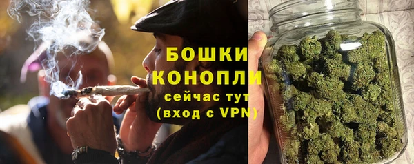 сатива Баксан
