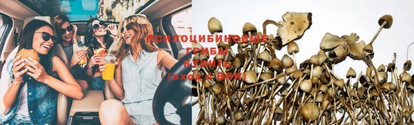 крисы Балабаново