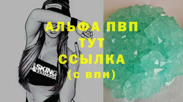 сатива Баксан