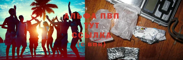 сатива Баксан