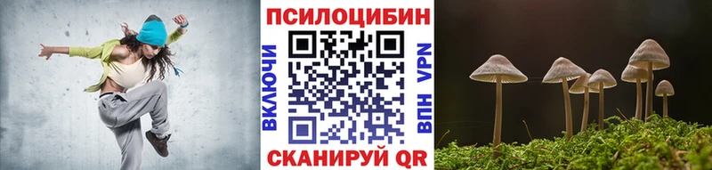 Галлюциногенные грибы Psilocybine cubensis  Новое Девяткино 